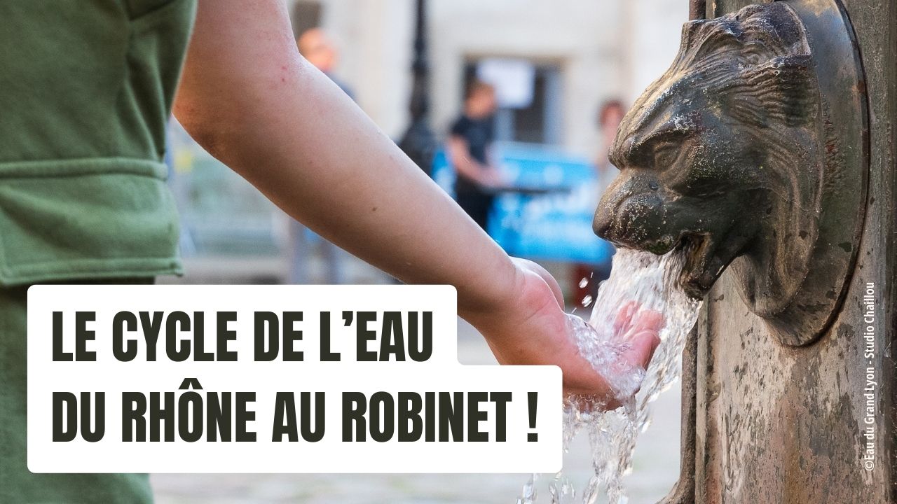 Du Rhône au robinet