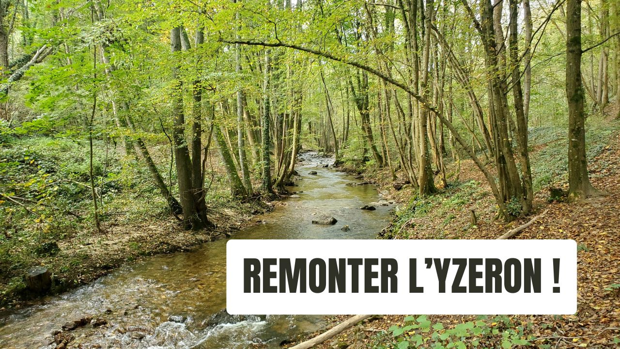 Remonter l'Yzeron
