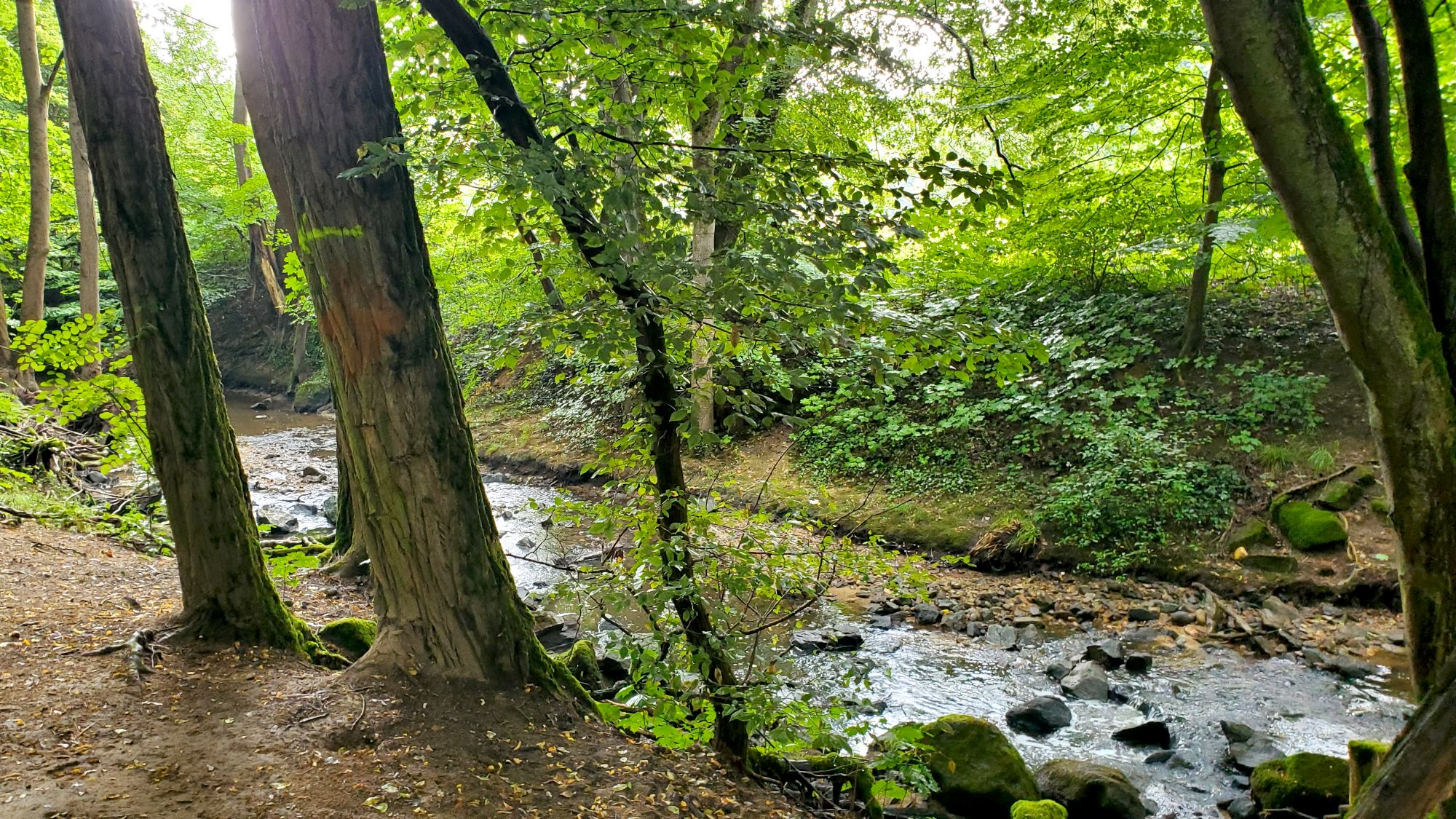 Paysages du Vallon de l'Yzeron à Craponne