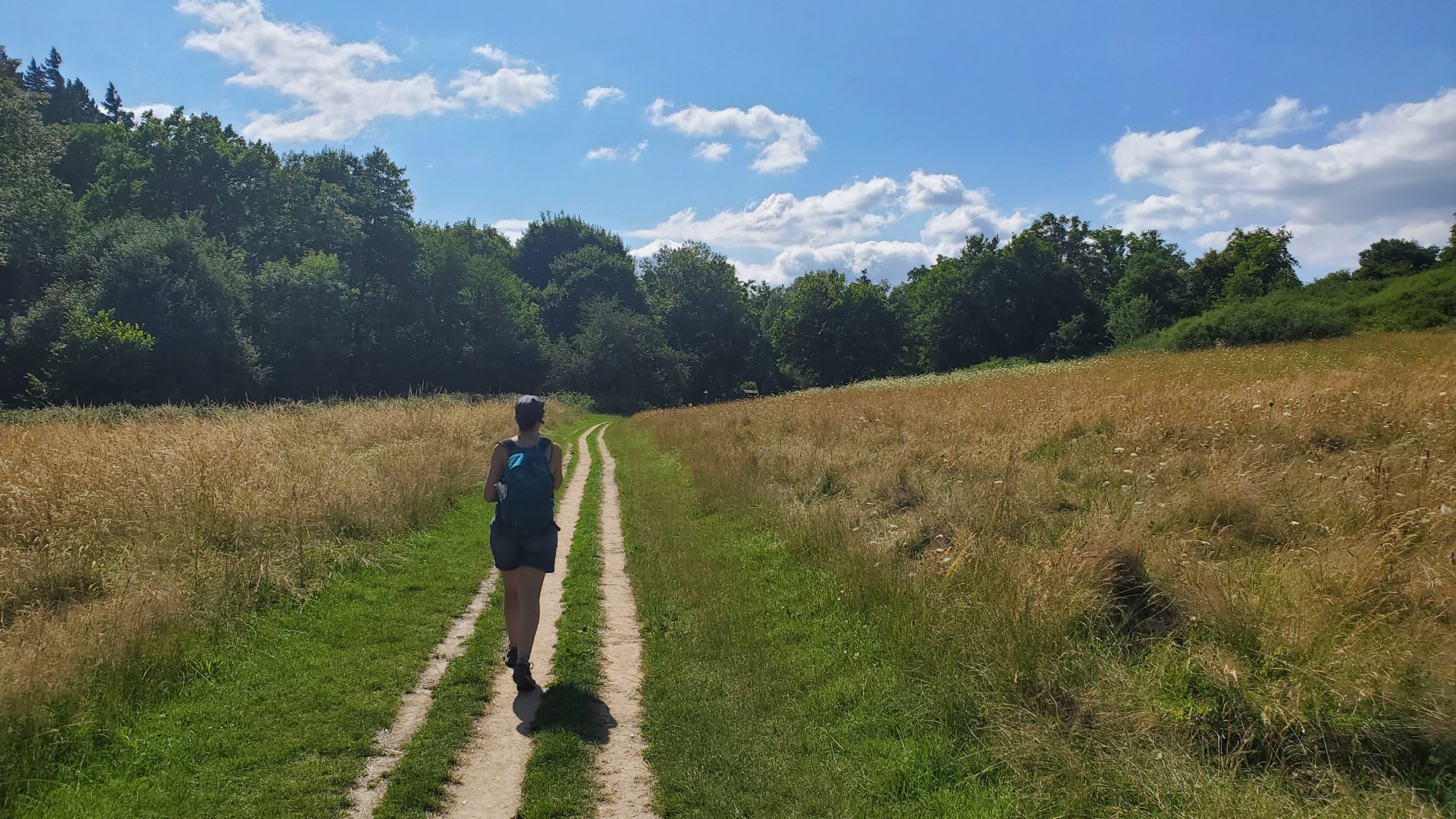 Traversée de la prairie à Craponne