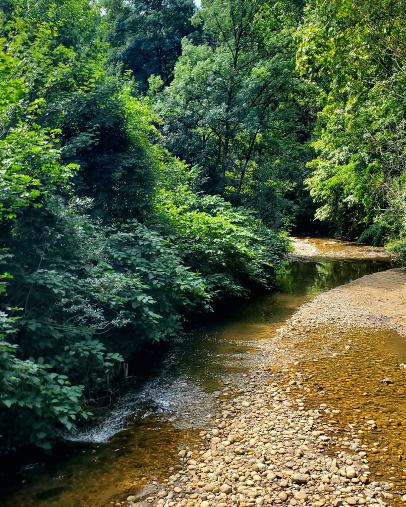Berges de l'Yzeron