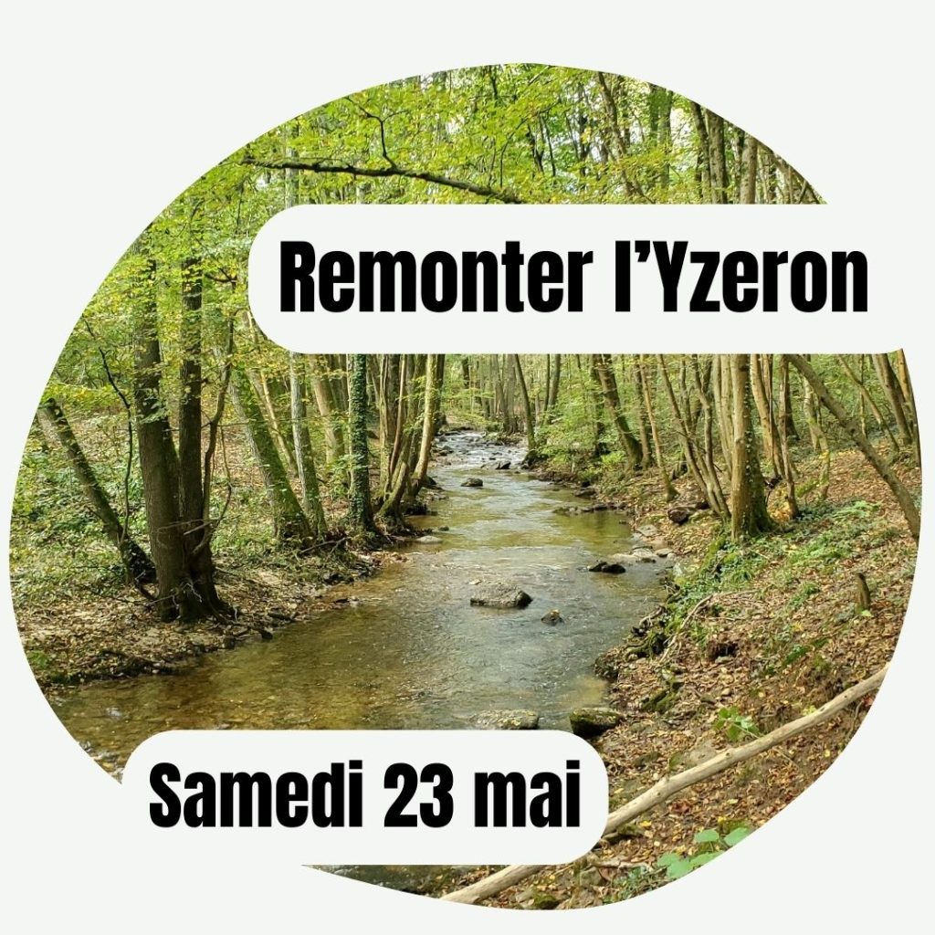 Remonter l'Yzeron