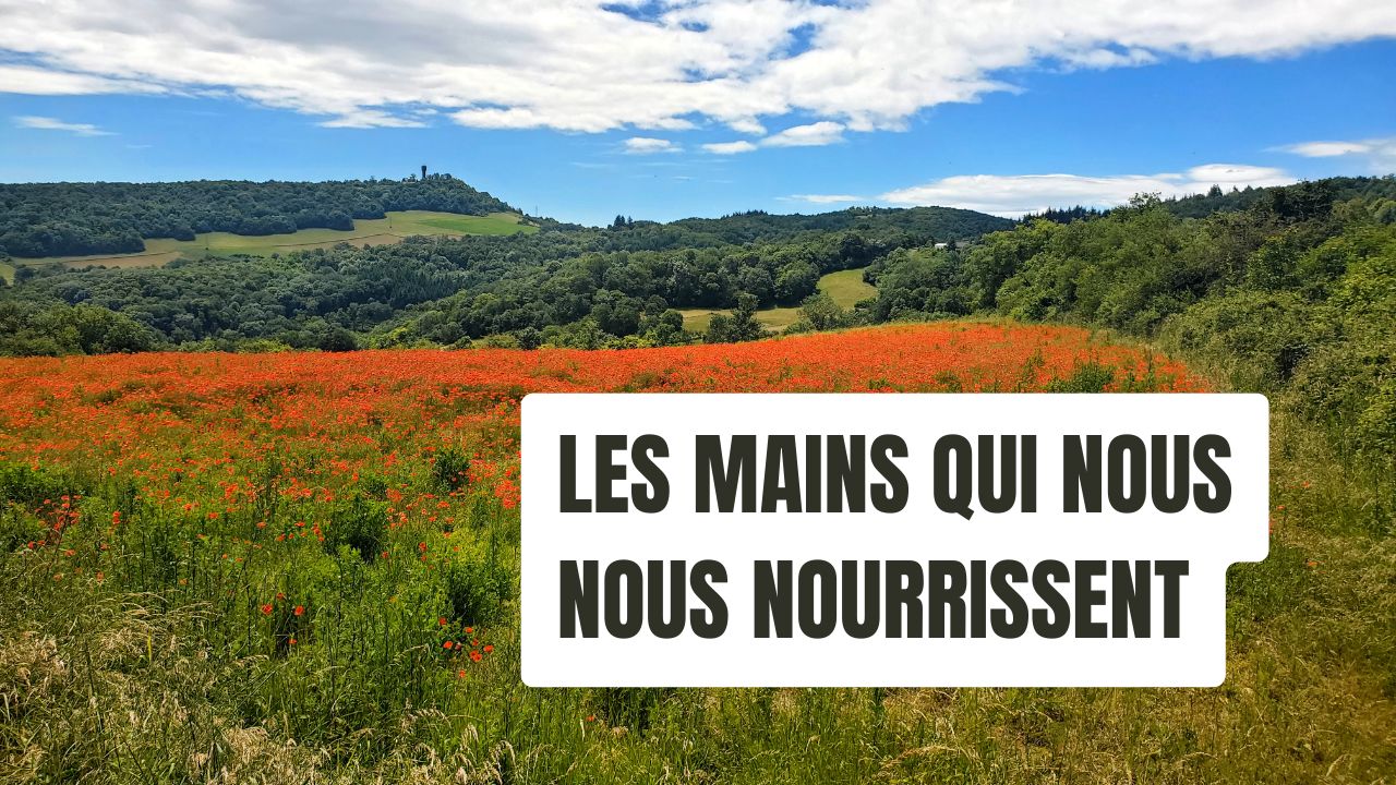 Les mains qui nous nourissent