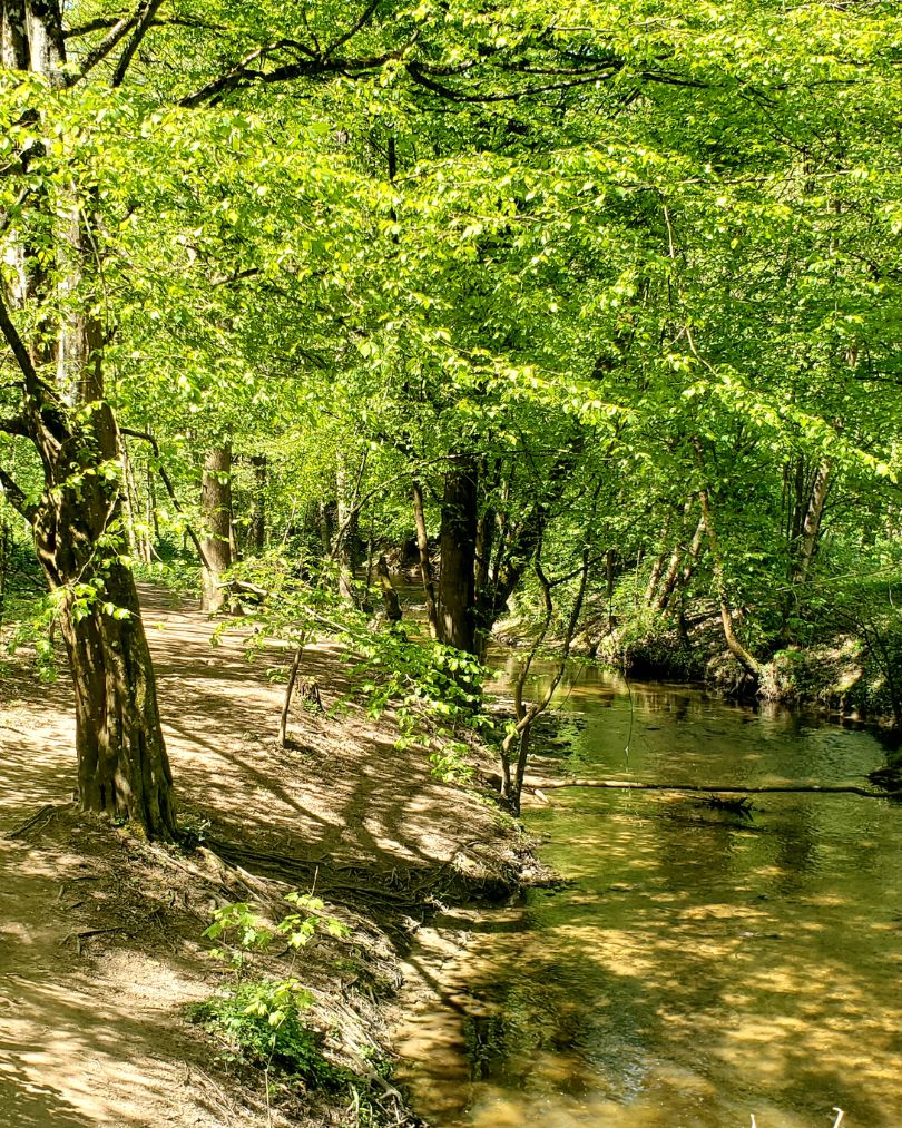 Sauvegarde Vallée de Francheville