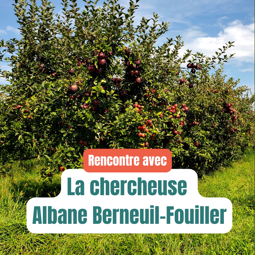 Albane Berneuil-Fouiller