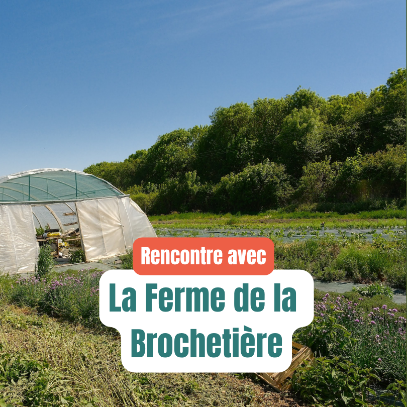 La Ferme de la Brochetière