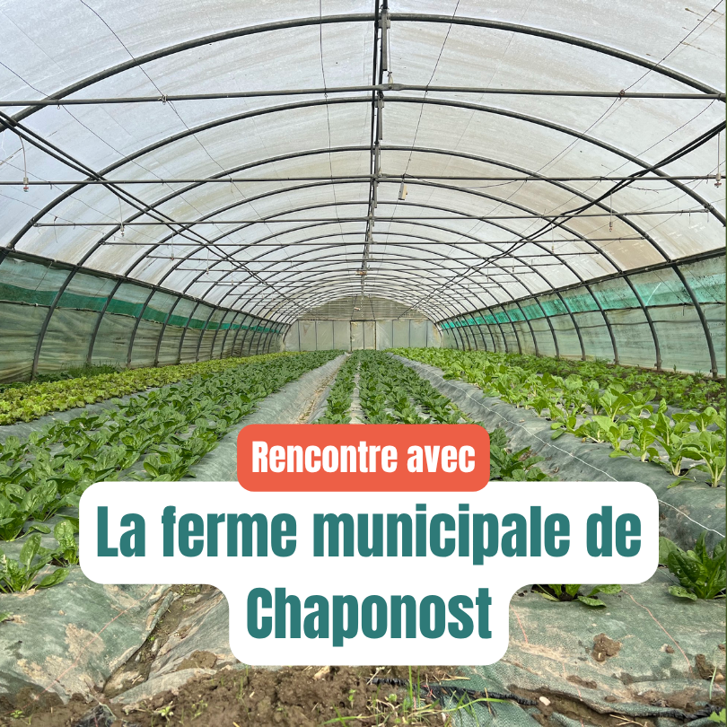 La ferme municipale de Chaponost