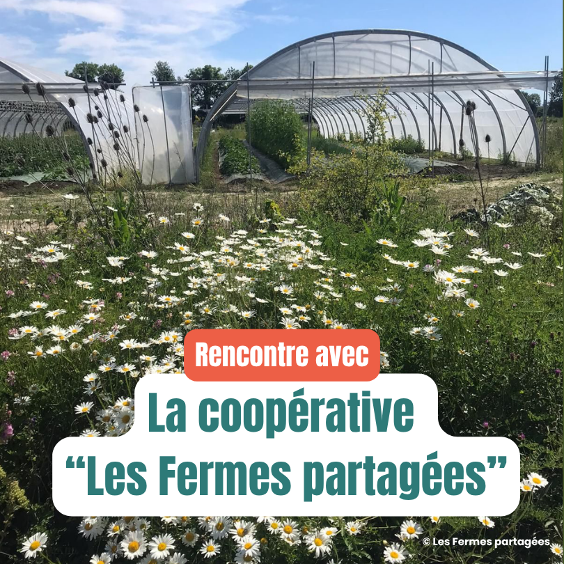 Les Fermes partagées