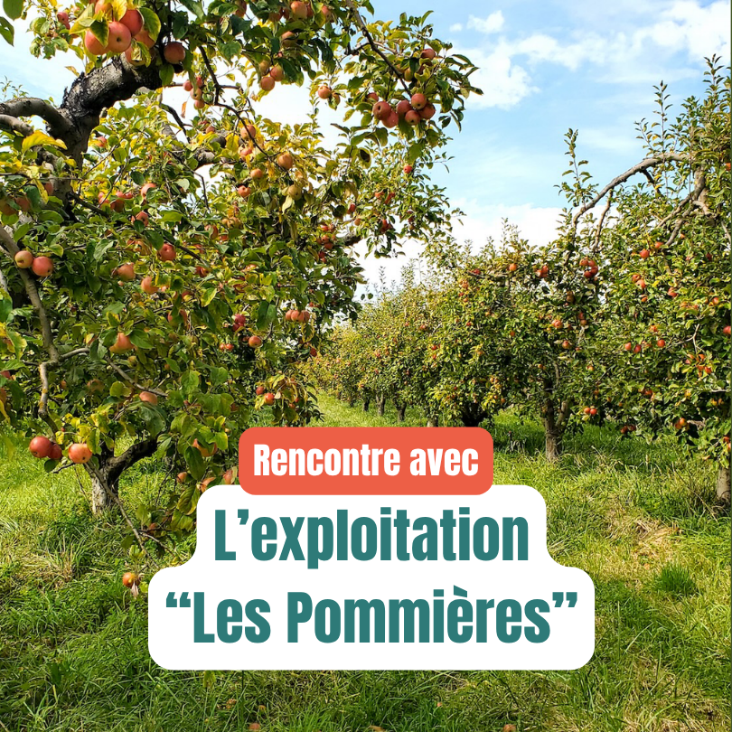 Les Pommières