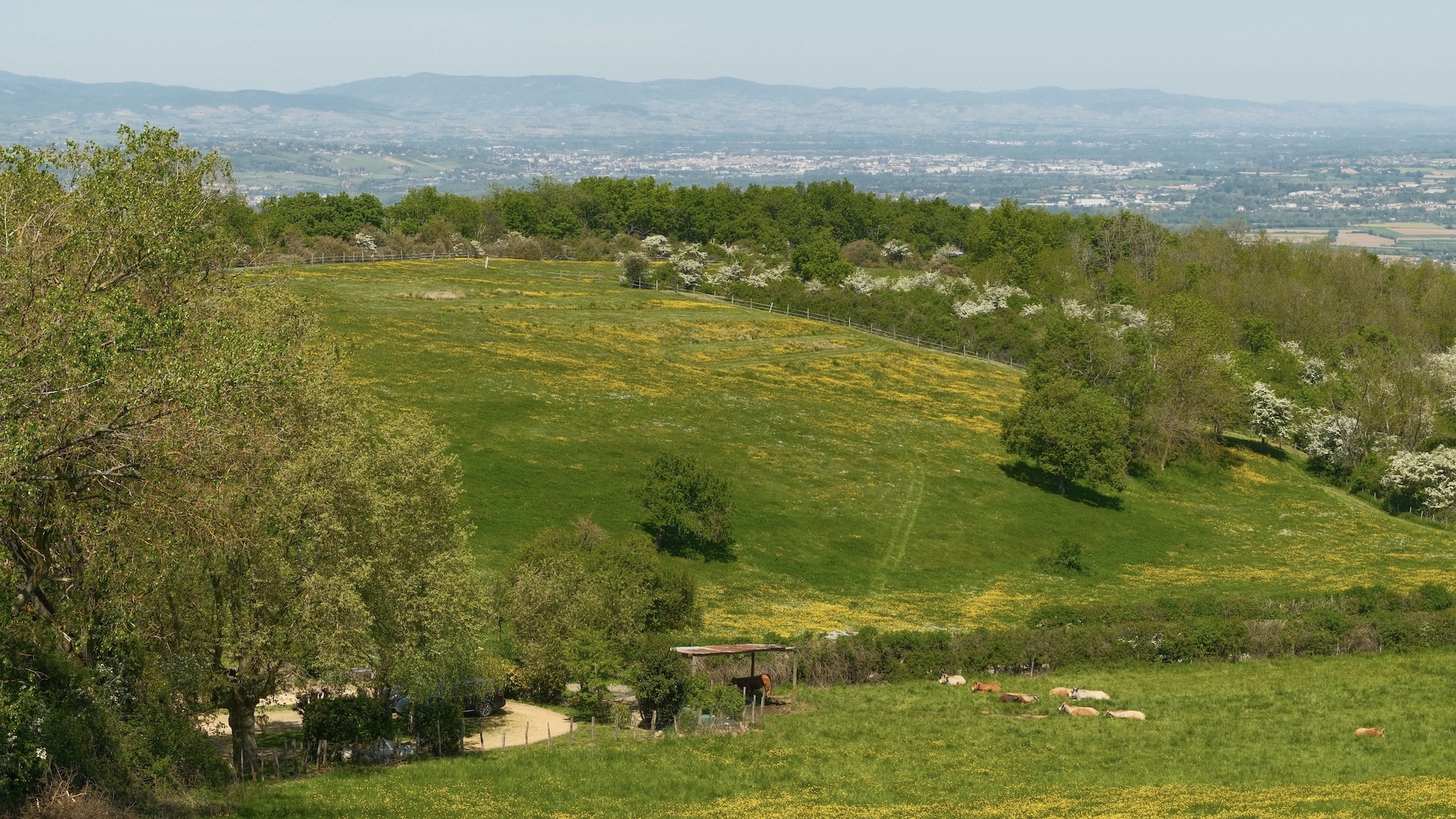 Point de vue - dimanche
