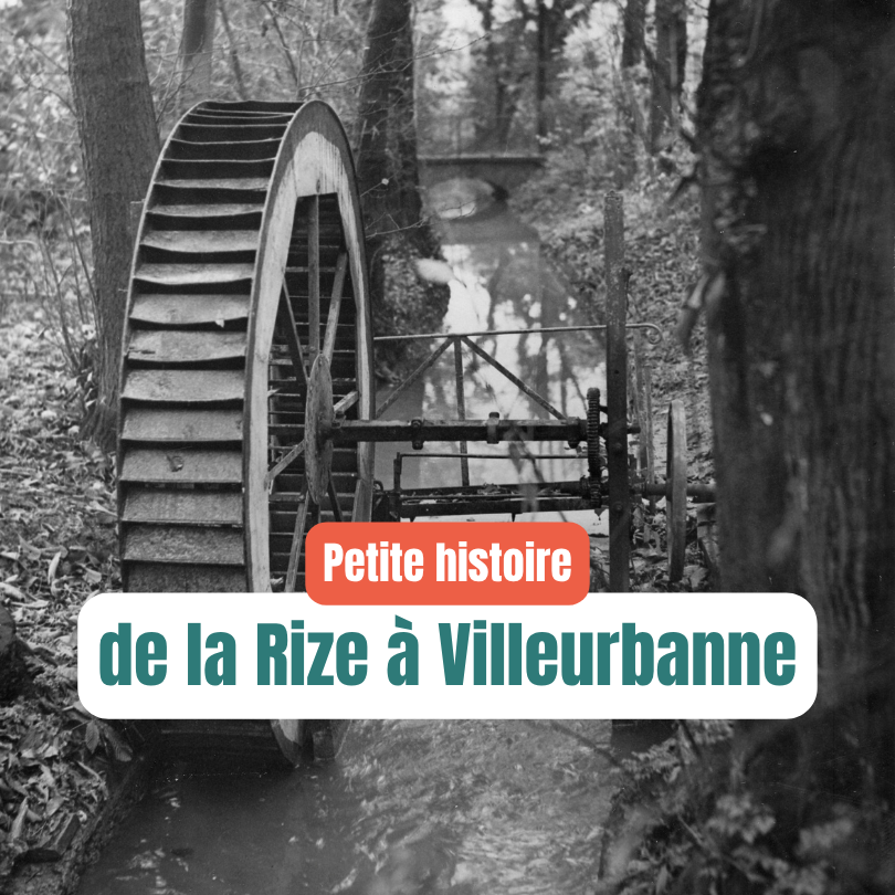 Le Rize