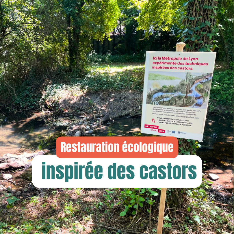 restauration écologique