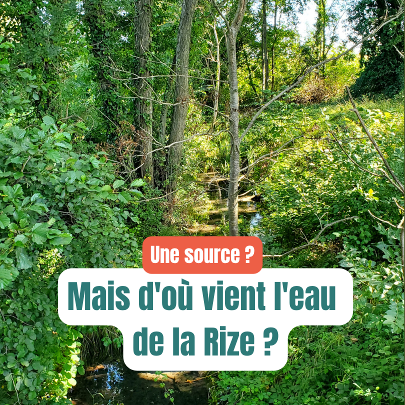 Mais d'où vient l'eau de la Rize ?