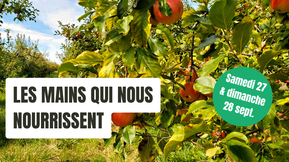 Les mains qui nous nourrissent - Kaypacha