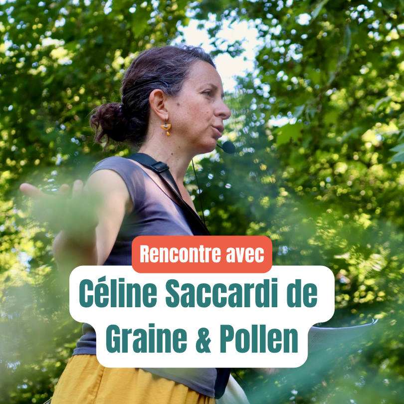 Céline Saccardi