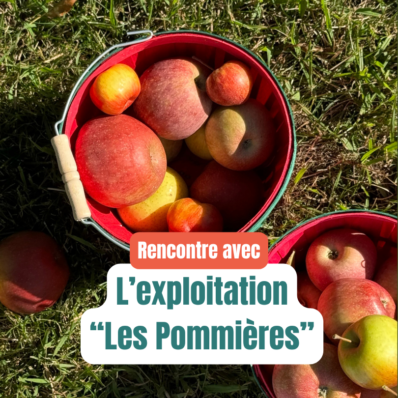 Les Pommières