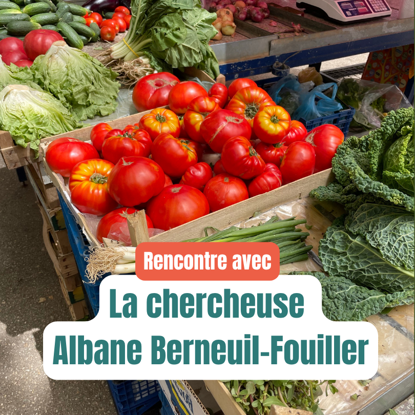 Albane Berneuil-Fouiller