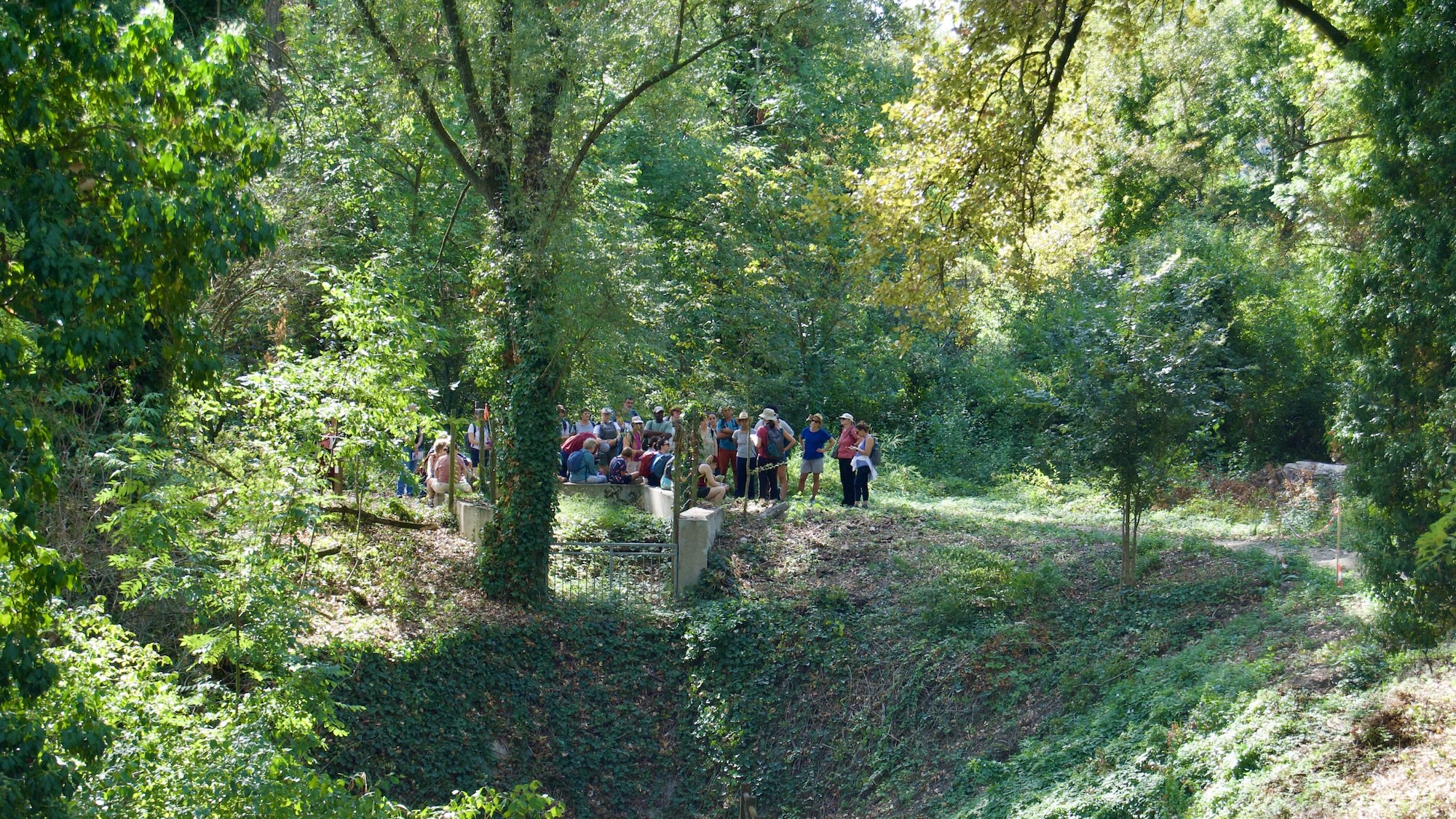 Parc de la Feyssine